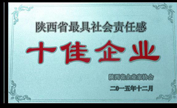 陜西省較具社會責任感十佳企業